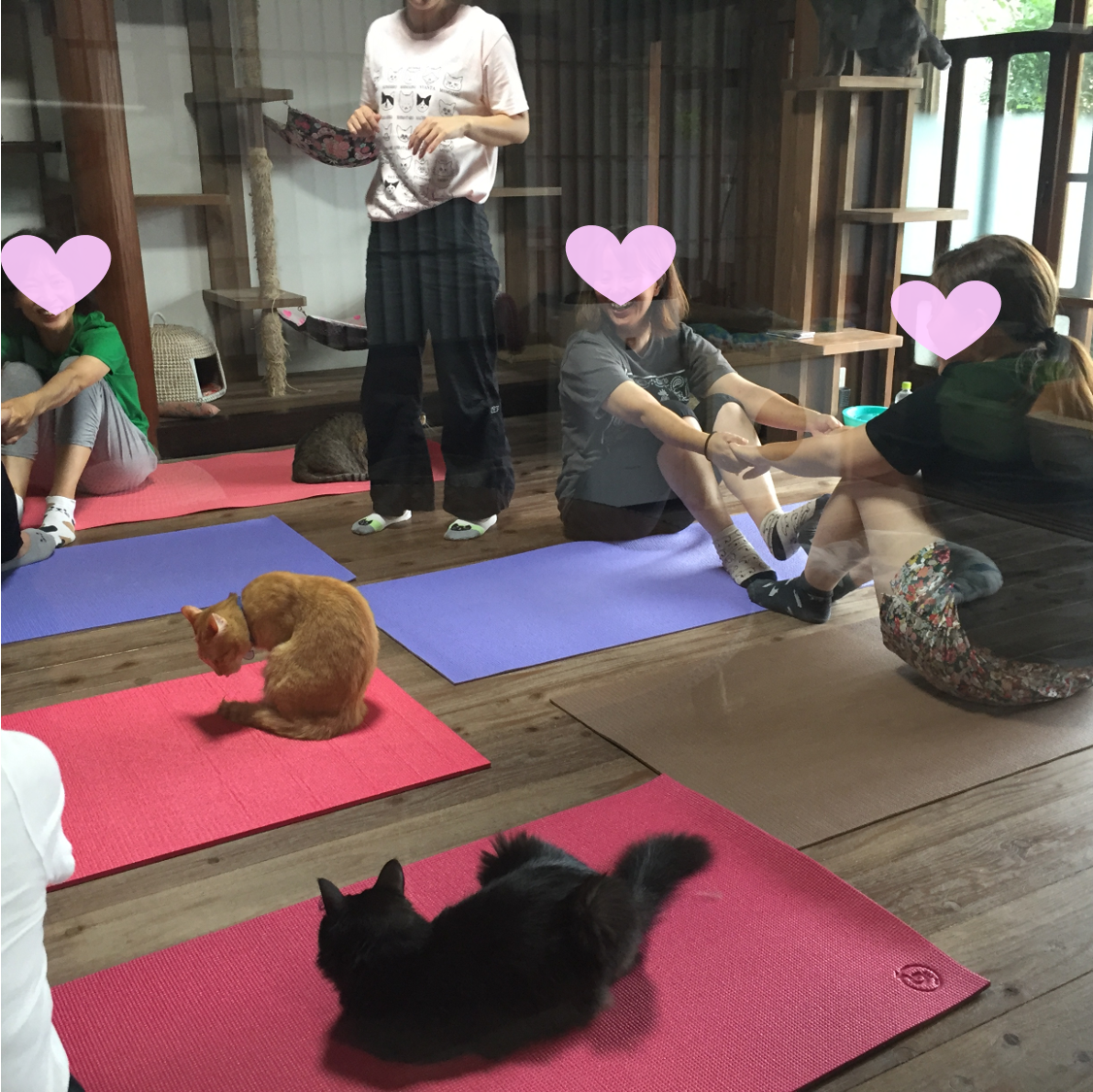 猫ヨガ教室をしました Goodmorning By Campfire