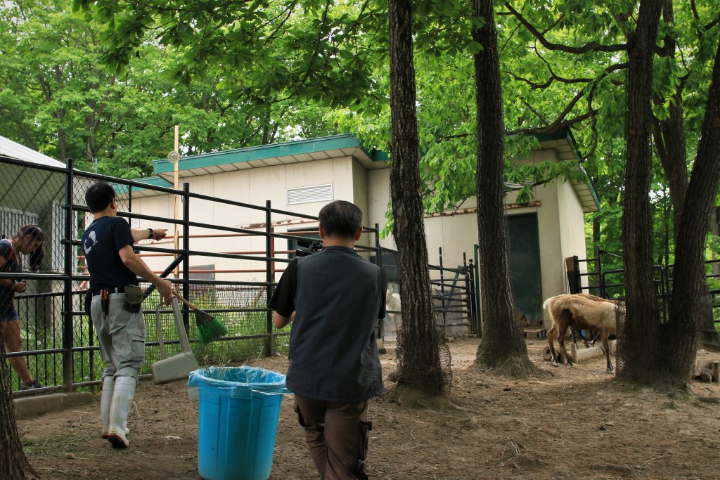 日本最北の動物園の舞台裏 旭山動物園のドキュメンタリー映画を作ります Campfire キャンプファイヤー