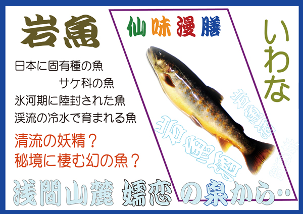 嬬恋岩魚の泉のビオトープ パーク開発支援プロジェクト 岩魚ファン倶楽部 会員 Goodmorning By Campfire