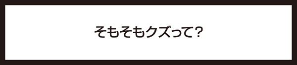 世界を驚かせるクズ人間を発掘するプラットホームを作りたい Kuz プロジェクト Campfire キャンプファイヤー