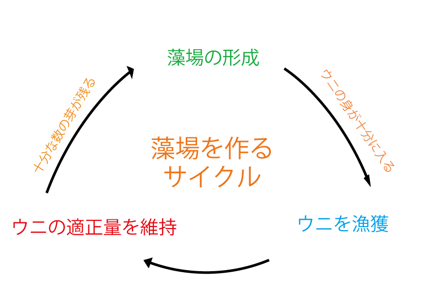 長崎の里海を守りたい 水中ガイドが漁師になって海も人も喜ぶ資源管理に挑戦します Campfire キャンプファイヤー