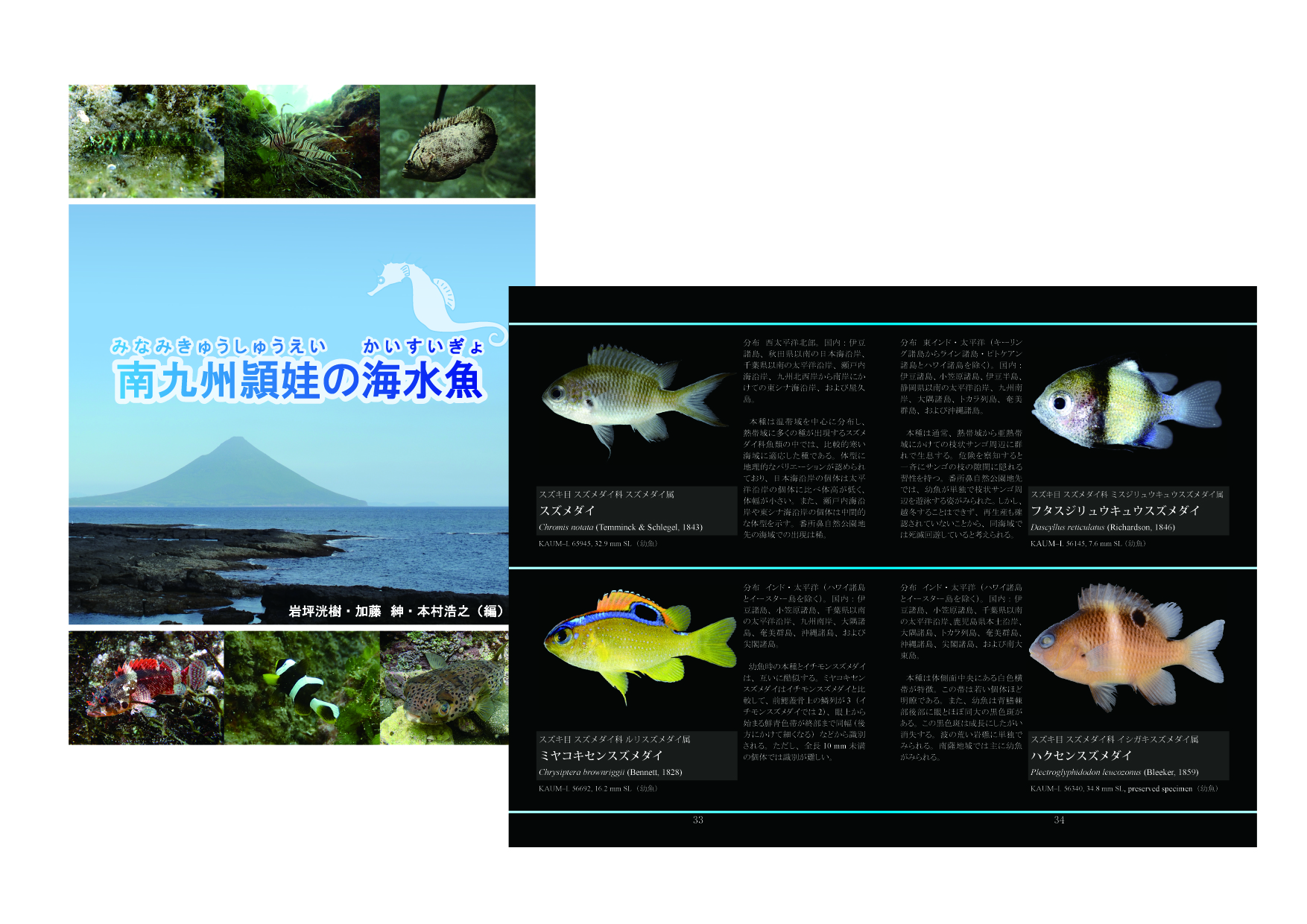 釣魚から深海魚まで いろんな魚がいっぱい 鹿児島湾の魚図鑑 出版プロジェクト Campfire キャンプファイヤー