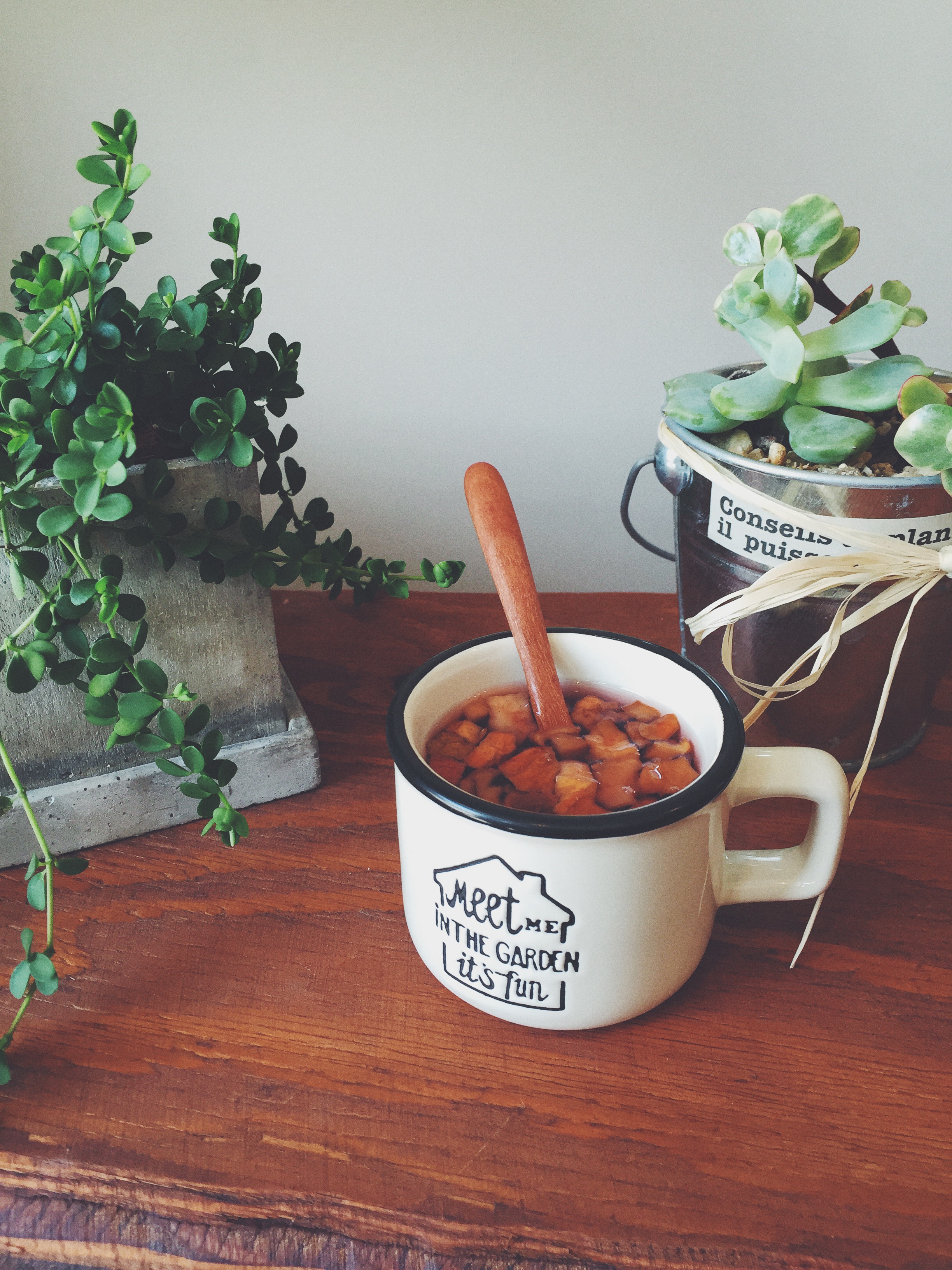 秘密の成分を入れた世界一安全なシャンプーを作り Moca ブランドを広めたい Campfire キャンプファイヤー