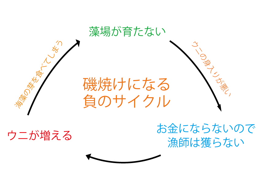 長崎の里海を守りたい 水中ガイドが漁師になって海も人も喜ぶ資源管理に挑戦します Campfire キャンプファイヤー